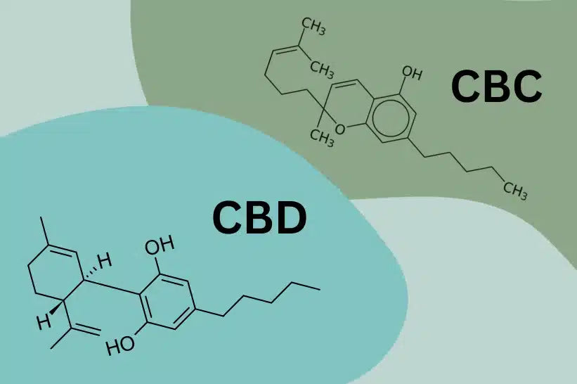 CBC Vs CBD: Key Differences, Benefits, And Which One To Choose