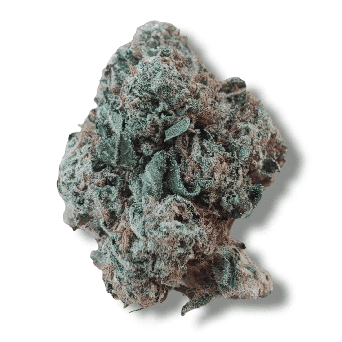 THCA Flower | Pineapple Express