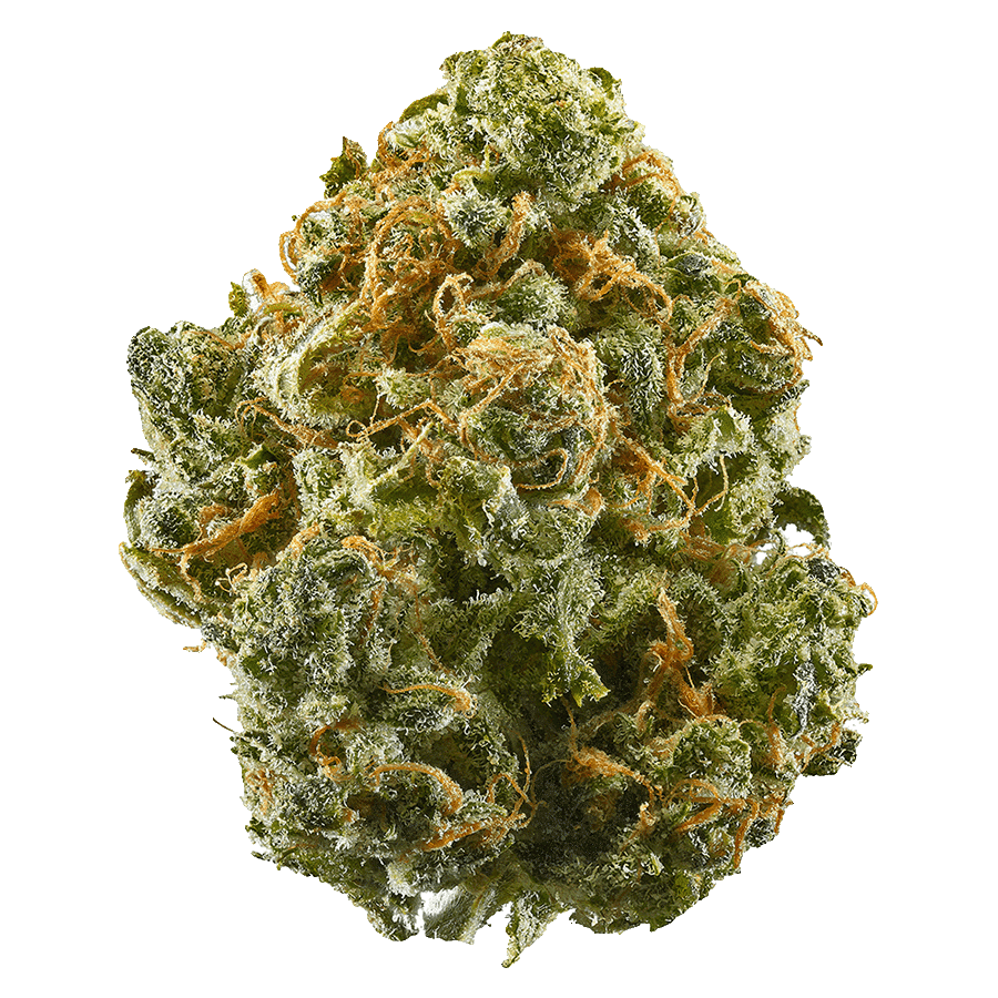 Living Soil THC*A Flower – Rotating Strains