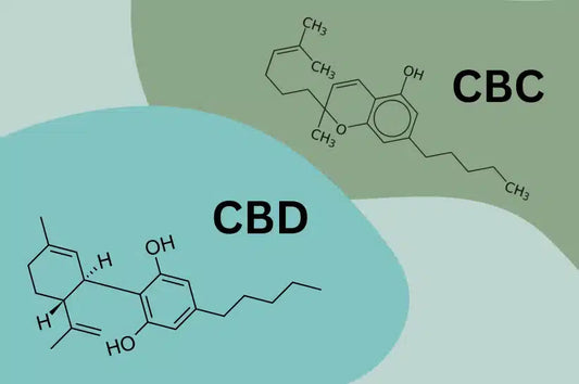 CBC Vs CBD: Key Differences, Benefits, And Which One To Choose